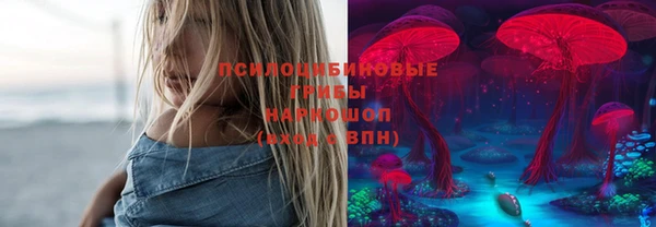 2c-b Верхний Тагил