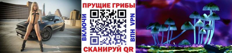 Псилоцибиновые грибы Psilocybe  Староминская 